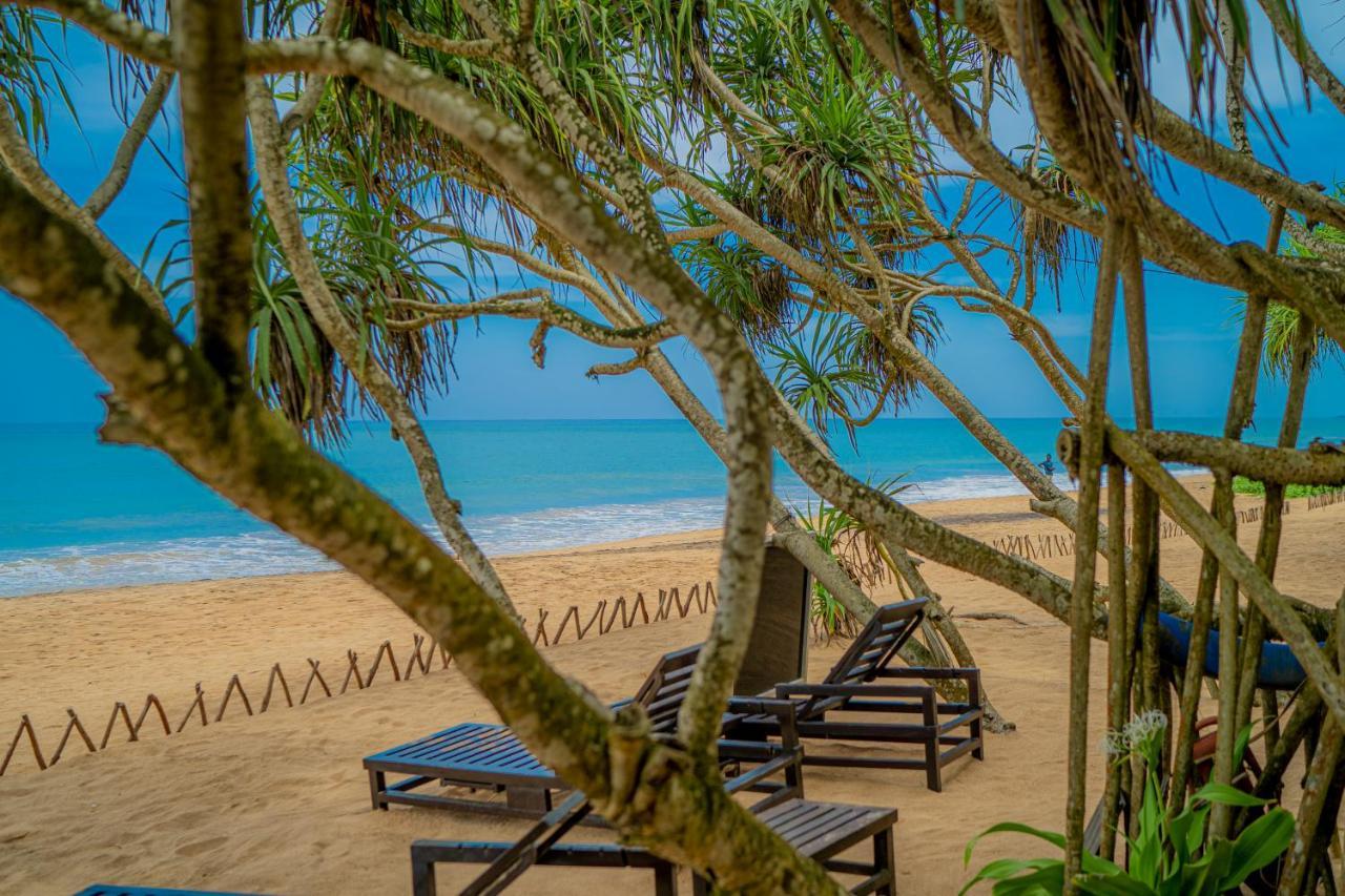 Temple Tree Resort & Spa Bentota Exterior foto